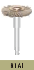 R1AI